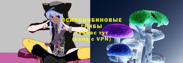 ECSTASY Волосово