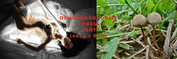 ECSTASY Волосово